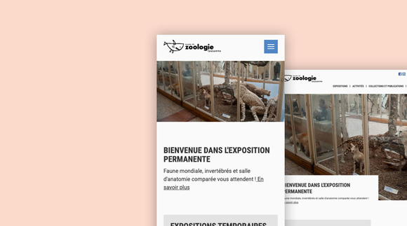 A new design system for 9 institutions in just a few weeks