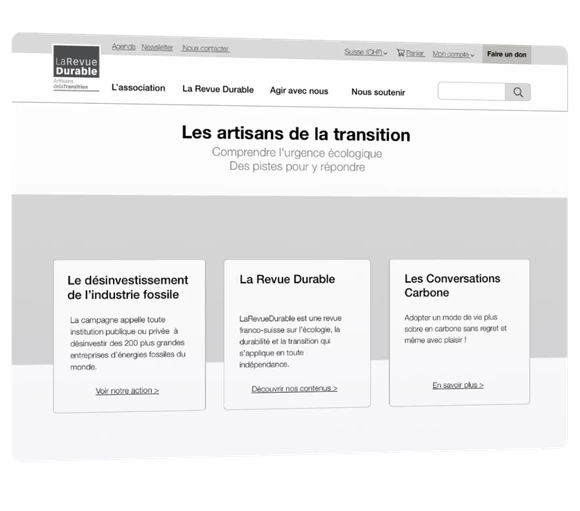 A unique website for a multifaceted association