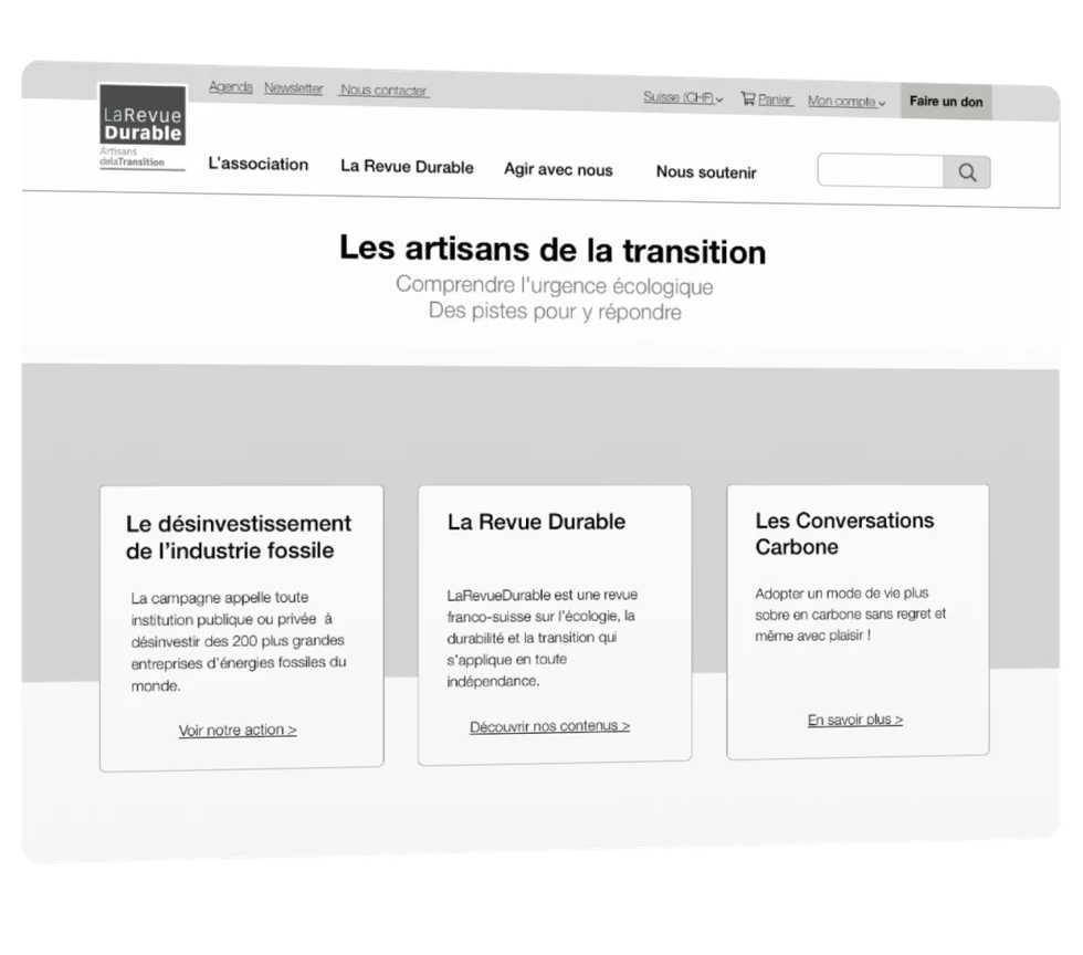 A unique website for a multifaceted association