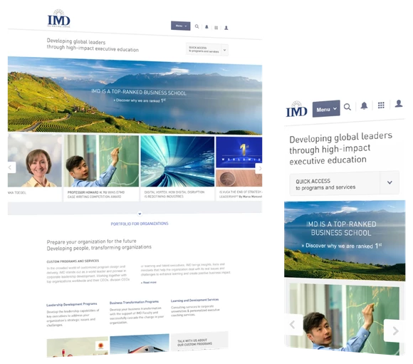 Managing the complexity of a business school's homepage