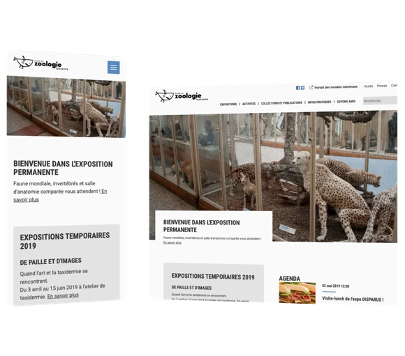 Un design système en seulement quelques semaines pour 9 institutions