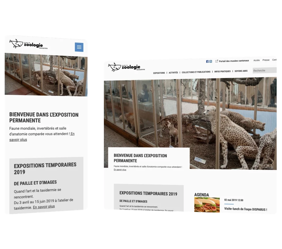 Un design système en seulement quelques semaines pour 9 institutions