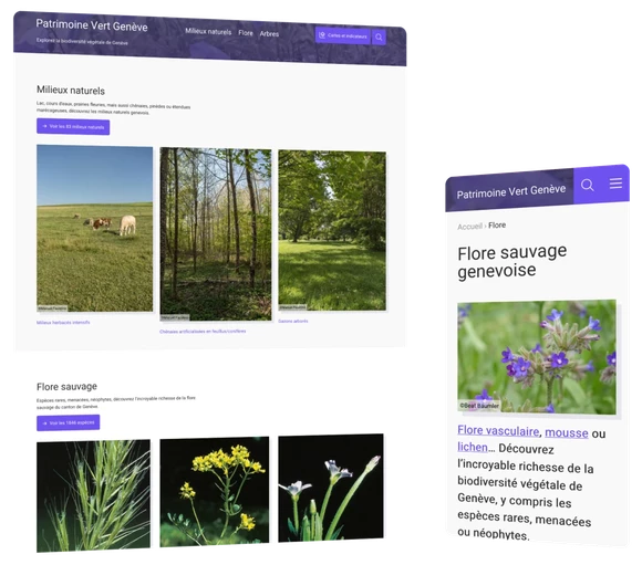 Promoting biodiversity in Geneva