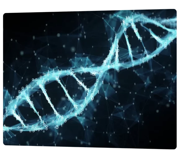 Concrétiser la vision d'une startup