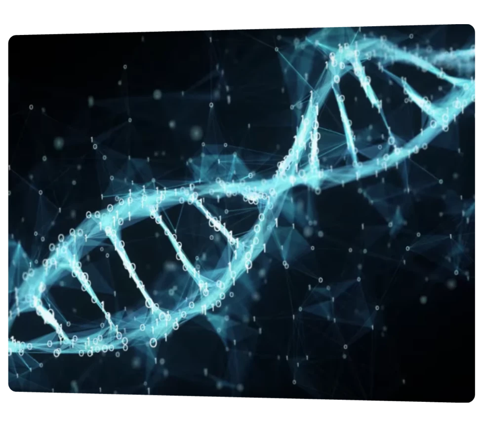 Concrétiser la vision d'une startup